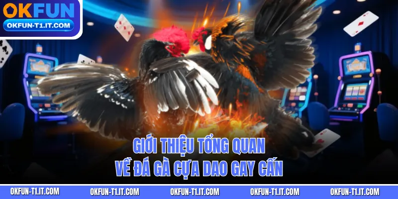 Giới thiệu tổng quan về đá gà cựa dao gay cấn