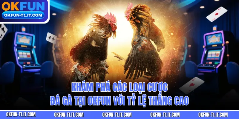 Khám phá các loại cược đá gà tại OKFUN với tỷ lệ thắng cao